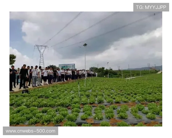 “黄果树杯”成功举办为贵州后续承接大型体育赛事积累经验